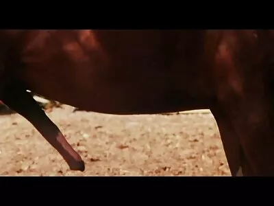 Wanna DP ફુલ સેકસી એચડી વીડીયો